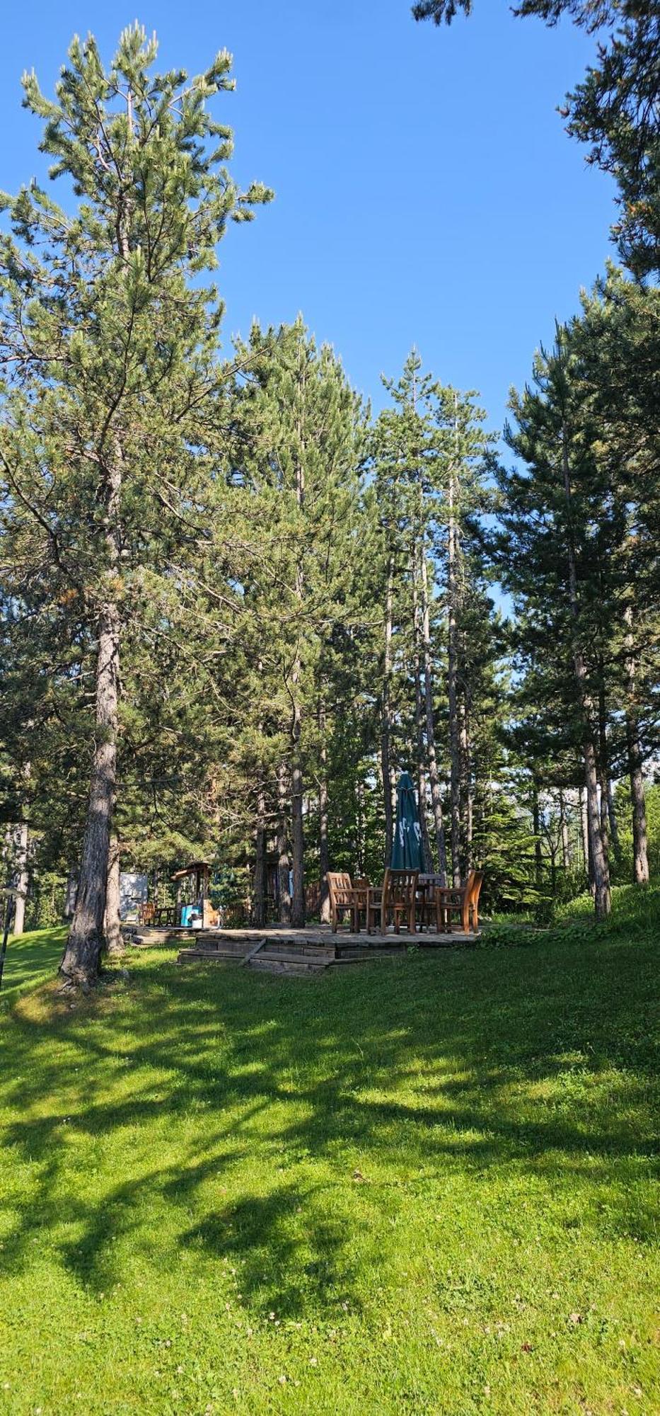 Green Peaks Suite In Pirin Golf & County Club Ράζλογκ Δωμάτιο φωτογραφία