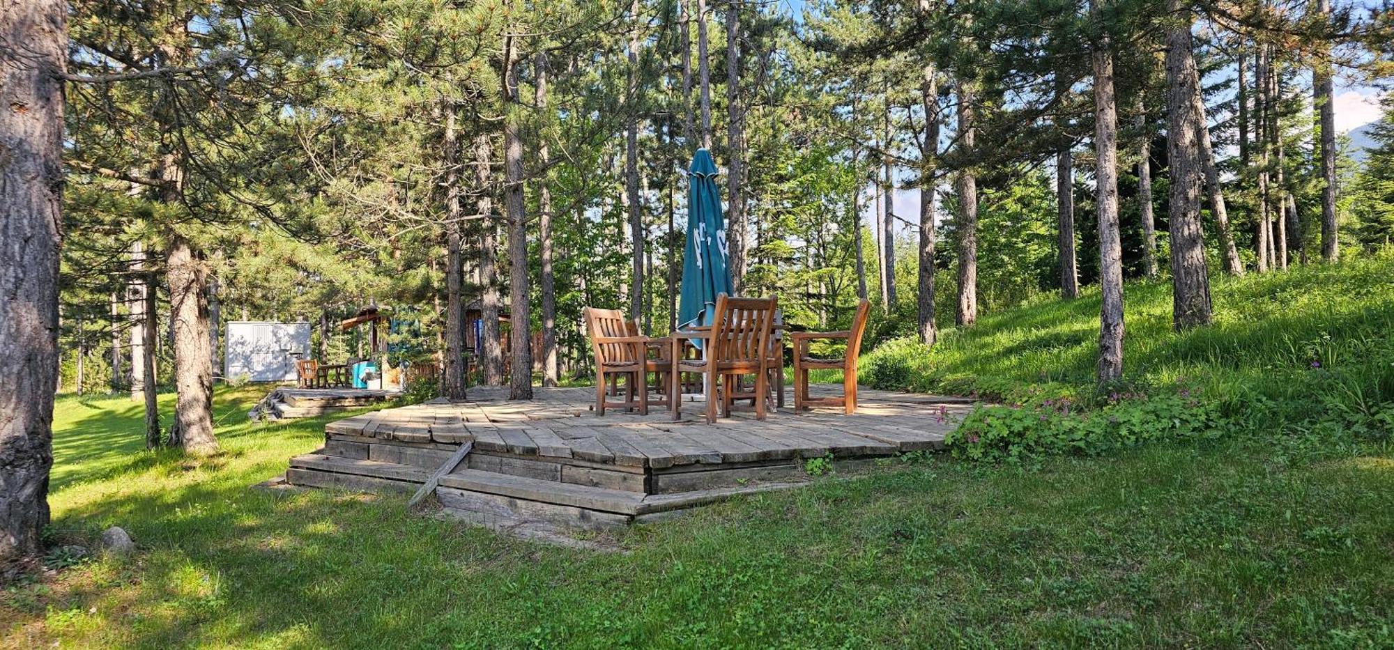 Green Peaks Suite In Pirin Golf & County Club Ράζλογκ Εξωτερικό φωτογραφία